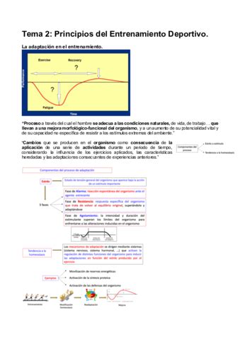 Apuntes De Interpretaci N Del Ingl S