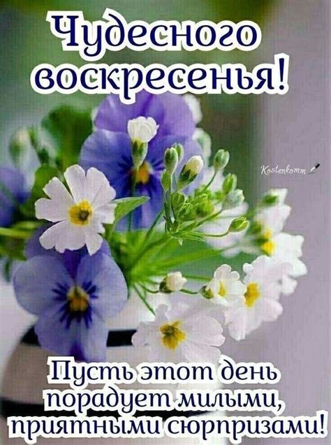 Открытка Чудесного воскресенья!