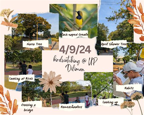 Birdwatching And Painting A Bird In Up Diliman Campus With Fellow