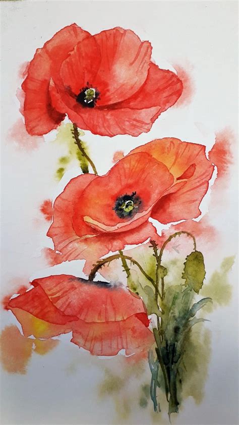 Pingl Par Kate Clark Sur Watercolours Coquelicots Peinture