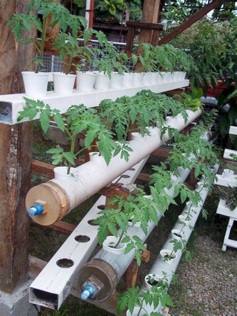 Hydroponic Gardening Diy Aquaponic Gardening Garden Indoor Vegetable Gardening Hydroponic