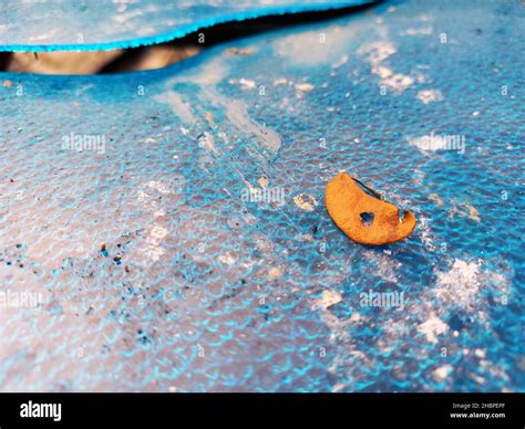Backwaters Of Kerala Stock Photo Alamy