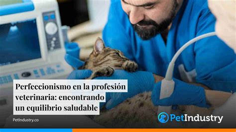 Perfeccionismo en la profesión veterinaria encontrando un equilibrio