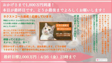 【ラスト10時間！追加支援に感謝】最終日に注目のプロジェクトに掲載されました！どうか最後の一押しを！ 野良猫がいない未来へ｜一斉tnr会場を