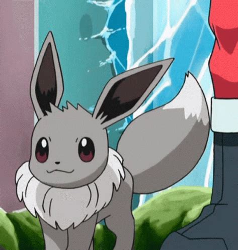 Eevee Shiny Eevee GIF - Eevee Shiny Eevee Shiny - GIF-ləri kəşf edin və ...