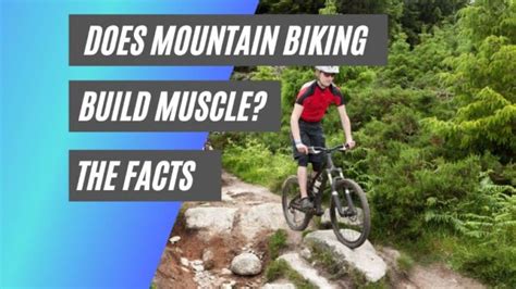 Does Mountain Biking Build Muscle Facts Bicycle Work