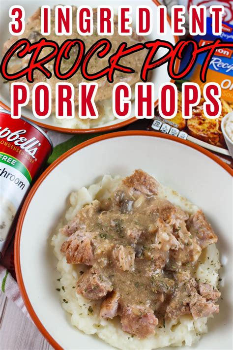 3 Ingredient Crock Pot Pork Chops The Food Hussy