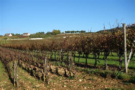 Un petit interlude sur la Côte La Passion du Vin