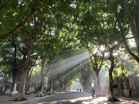 Dự Báo Thời Tiết đêm Nay Và Ngày Mai 249 Hà Nội Và Các Khu Vực Trên