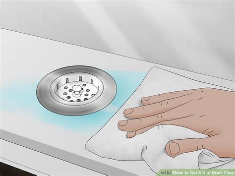 4 Ways To Get Rid Of Drain Flies Wikihow