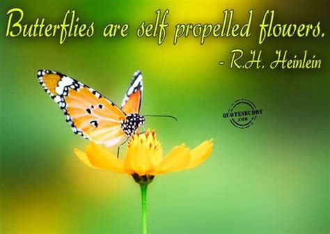 Quotes About Butterflies In Nature Aden