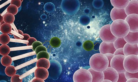 Bone Marrow Stem Cells Derived from Bone Marrow Aspirate BMAC