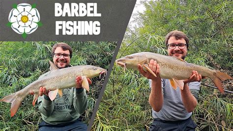 Barbel Fishing The Most Barbel I Ve Ever Caught Youtube