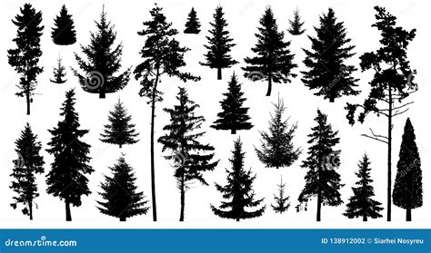 Silhouette Of Pine Trees Set Of Forest Trees Isolated On White