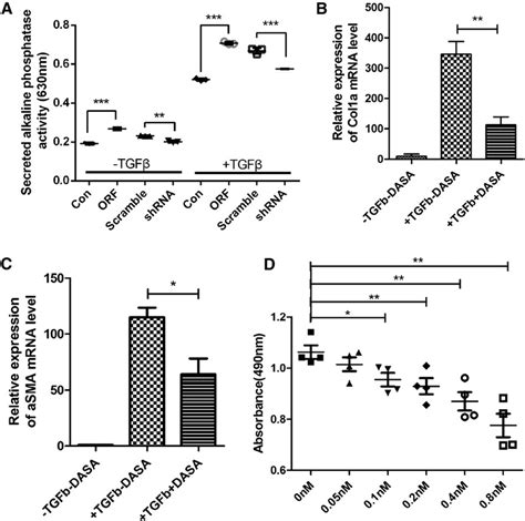 Overexpression And Inhibition Of Hck In Renal Tubular Cells Affects