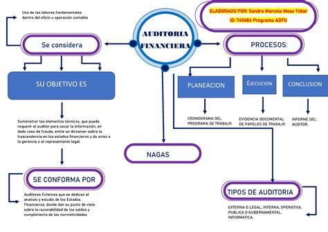 Mapa Conceptual 1 AUDITORIA FINANCIERA Auditores Externos Que Se