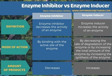 Difference Between Enzyme Inhibitor and Enzyme Inducer | Compare the ...