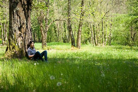Sitting Under A Tree Pictures Images And Stock Photos Istock