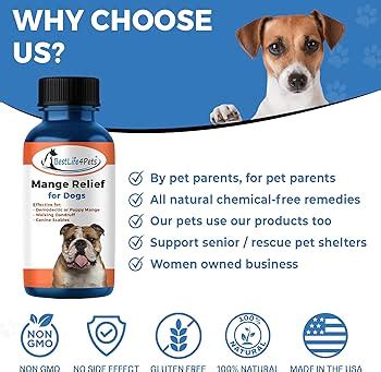 Bestlife Pets Demodectic Mange And Scabies Relief For Cats Off