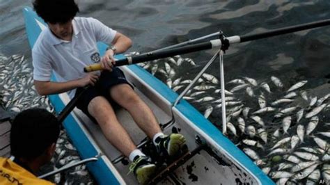 Decenas de miles de peces muertos en laguna donde se celebrarán Juegos