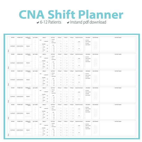 Cna Brain Sheet Etsy