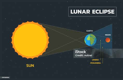Lunar Eclipse Diagram Stock Illustration - Download Image Now - Diagram ...