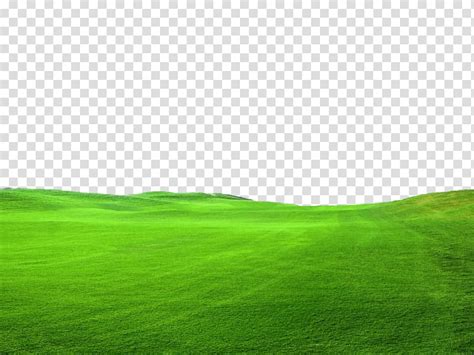 Grass Field Background Png Clip Art Library