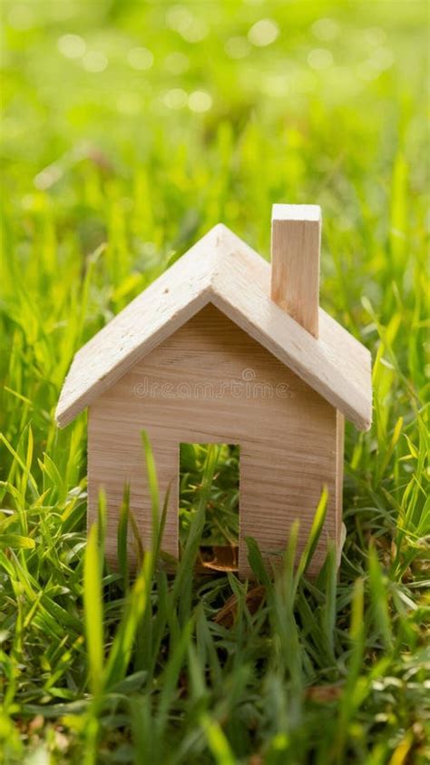 Eco Friendly Housing Concept Featuring Miniature Wooden House In Spring Grass Stock Illustration