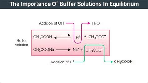 Buffer Solutions In Equilibrium Types Of Buffer Solution Chemistry