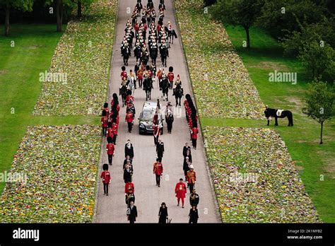Emma The Monarchs Fell Pony Stands As The Ceremonial Procession Of