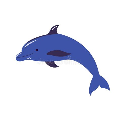 Swimming Dolphin Stock Vector Illustration Of Intelligence