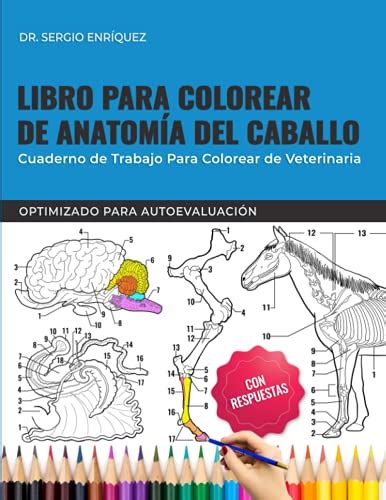 Los Mejores Libros De Equina Para Comprar En Linea