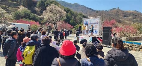 광양시 제23회 광양매화축제‘맨발 통했다