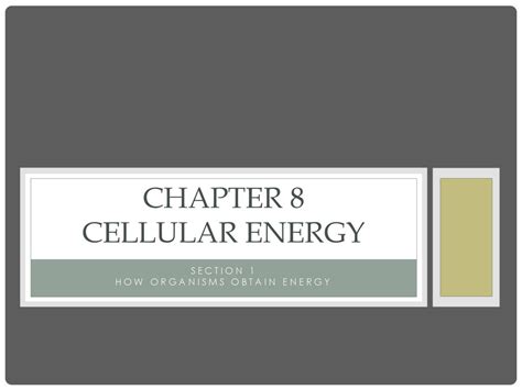 Chapter 8 Cellular Energy Ppt Download