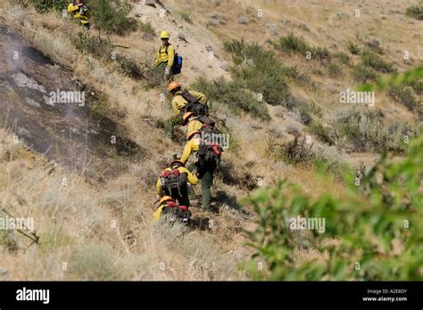 Hot Shot Crew At A Wildland Fire Building A Fire Line Stock Photo Alamy