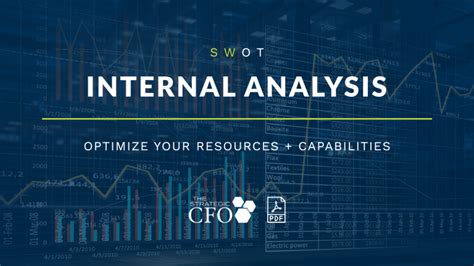 Internal Analysis The Strategic Cfo®