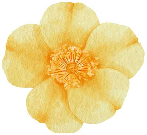 Yellow Rose Flower Watercolor Style For Decorative Element 9787729 Png