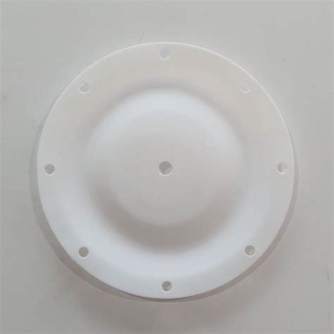 Diaphragm Ptfe No