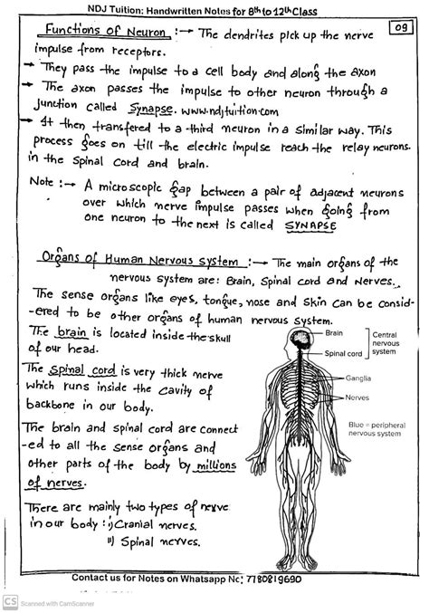 Control And Coordination Class Notes Science Chapter Artofit