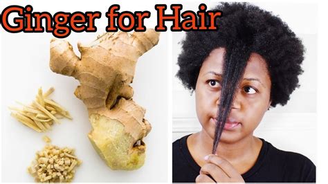 HOW TO USE GINGER FOR HAIR GROWTH GINGER FOR DANDRUFF PREVENT HAIR