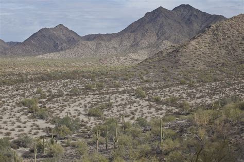 Sonoran Desert National Monument The Sonoran Desert Nation Flickr