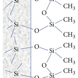 Schematic Representation Of A Adsorbed Water Layer On The Surface Of