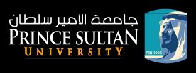 Prince Sultan University Careers – Prince Sultan University Jobs ...