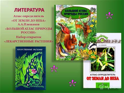 Презентация на тему: "ПРЕЗЕНТАЦИЯ Григорьевой Дарьи лето ГЕРАНЬ ЛУГОВАЯ ...