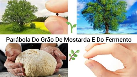 Parábola Do Grão De Mostarda E Do Fermento Visão Espírita Youtube