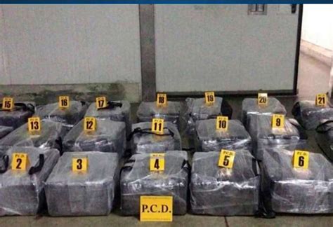 Decomisan una tonelada de droga oculta en contenedor con piña Teletica