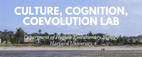 Culture Cognition And Coevolution Lab