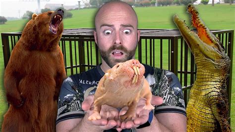 10 Most Dangerous Exotic Pets People Actually Have Learn Anything