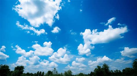 Fondo Cielo Azul Con Nubes Y Arboles Fondo Cielo Hermoso 302 Cielo De Verano Imagen De Fondo