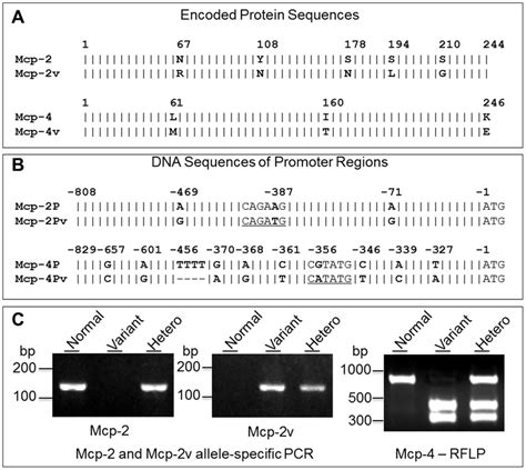 Identification Of Mcp And Mcp Gene Variants Schematic Alignment Of